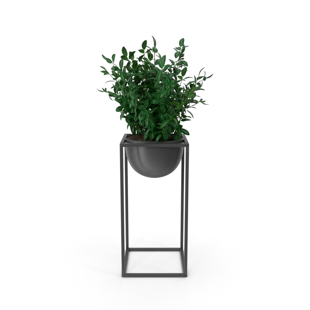Decor